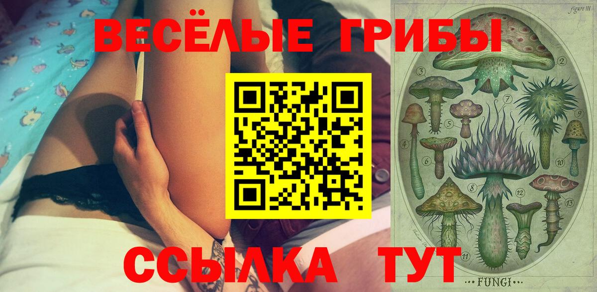 наркотики  Вход с VPN  Псилоцибиновые грибы Magic Shrooms  Дивногорск  Псилоцибиновые грибы MAGIC MUSHROOMS 