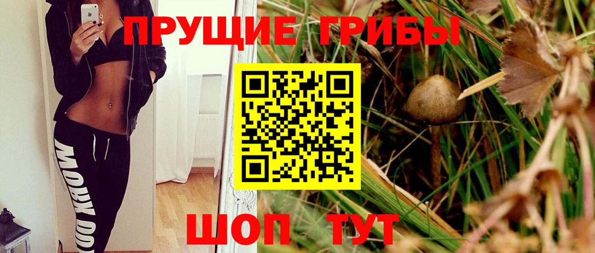 Псилоцибиновые грибы Magic Shrooms Дивногорск
